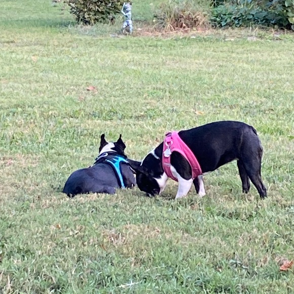 Meet the Posher - Picture 4 of 4